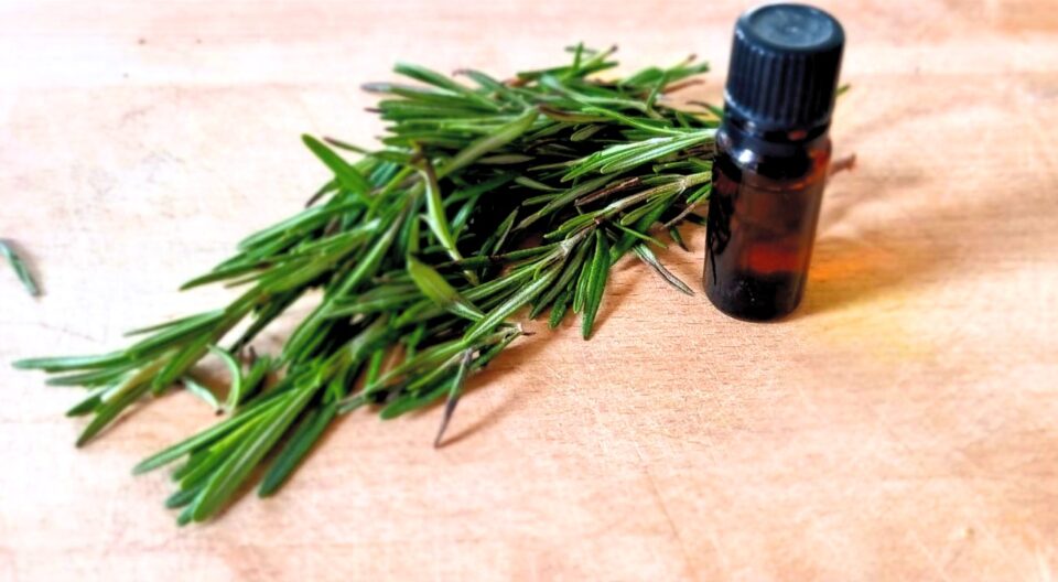 Romero: sus usos y beneficios