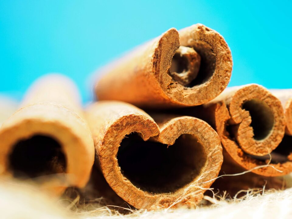Canela: ¿Cuales son sus beneficios?