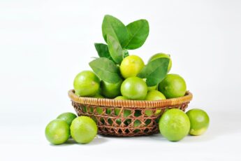 Una canasta de limones frescos y jugosos. Estos limones se pueden utilizar para preparar una deliciosa taza de té de limón, una bebida saludable y refrescante que tiene muchos beneficios para la salud. El té de limón es fácil de preparar en casa y también se puede utilizar como un remedio natural para tratar el resfriado común y aliviar los síntomas de la gripe.